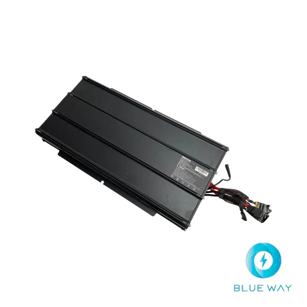 Batterie Inmotion RS