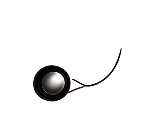 Haut-parleur Inmotion V11