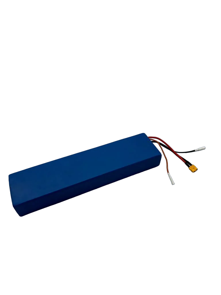 DUALTRON TOGO | BATTERIE 36V 13,5 AH