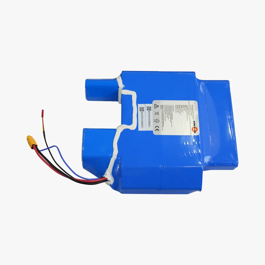 16XS Battery Pack
