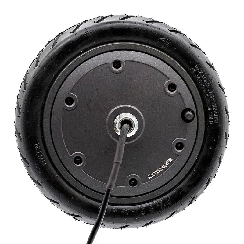 Moteur 36V 300W 6,1/B34 pour Cecotec