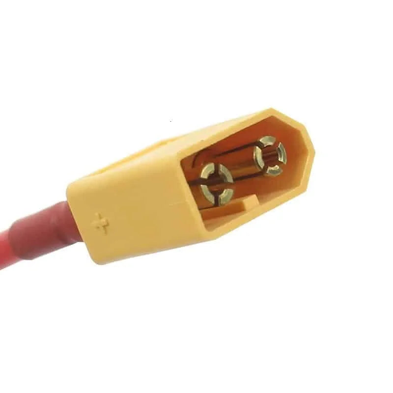 Connecteur Amass XT60 avec Câble - 5M/5H
