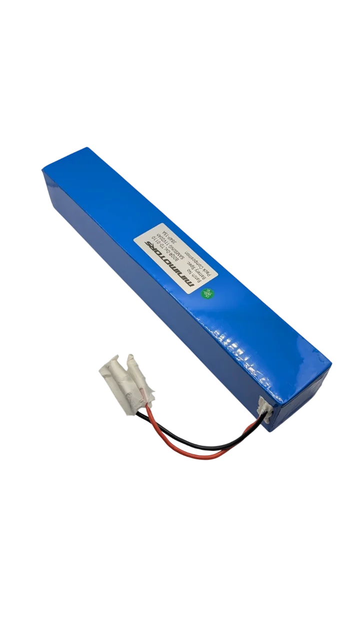 DUALTRON X2 | BATTERIE LED 12V
