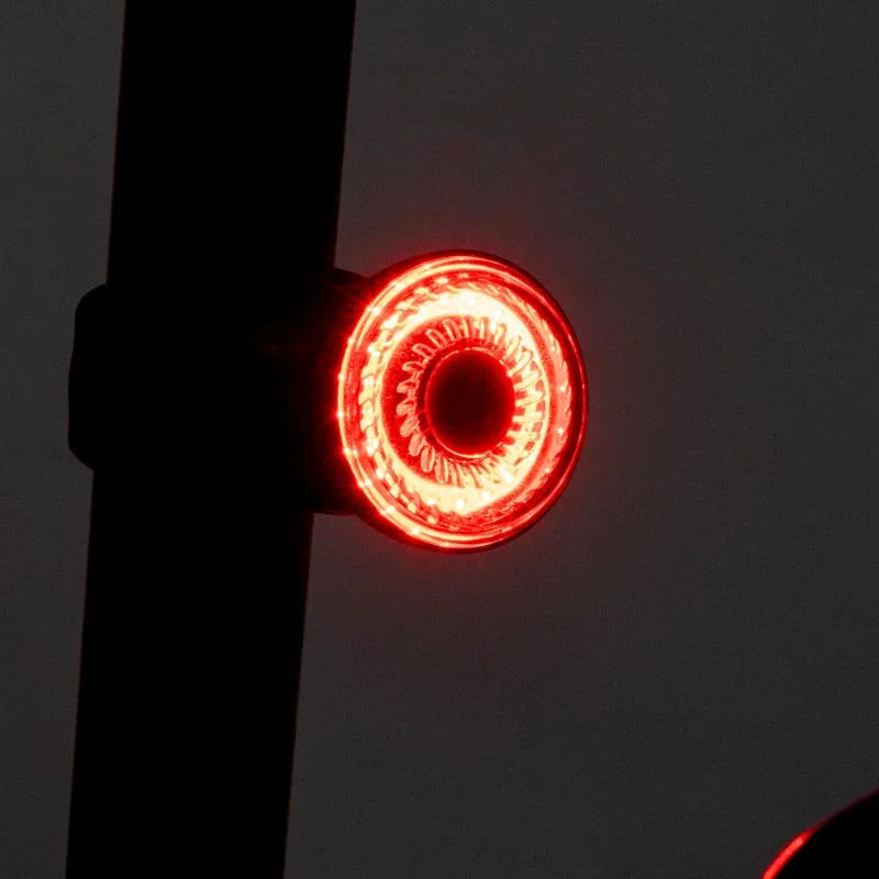 Feu arrière à LED rechargeable EWL007