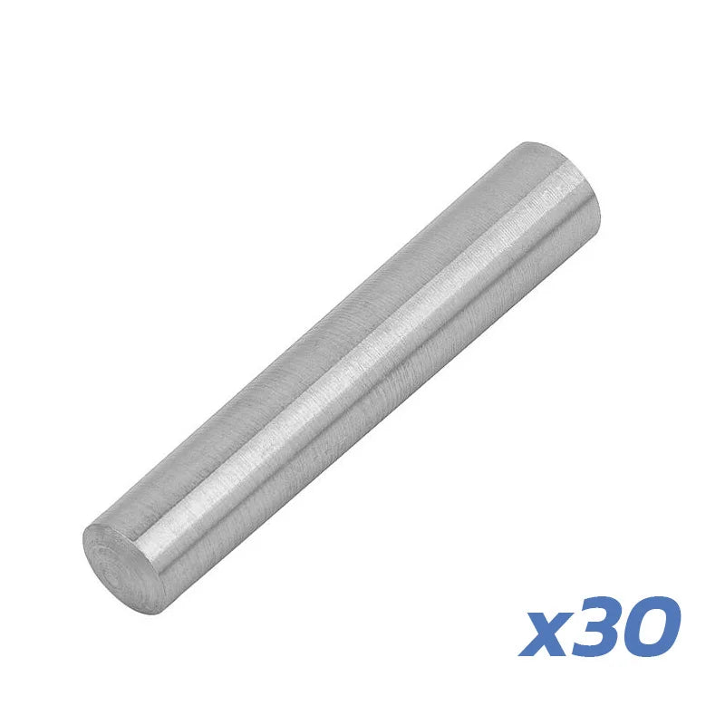 Goupille de charnière V1 Dualtron – lot de 30 unités