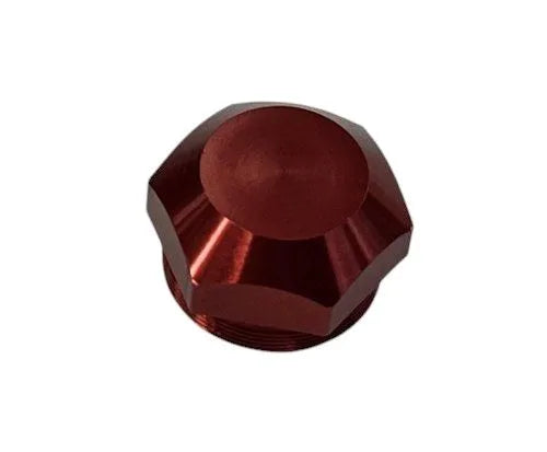 Bouchon de valve d'air Inmotion V13