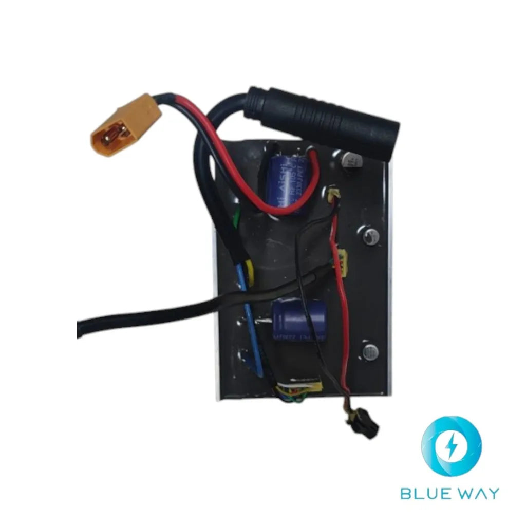 Ensemble de carte de commande pour Inmotion E20
