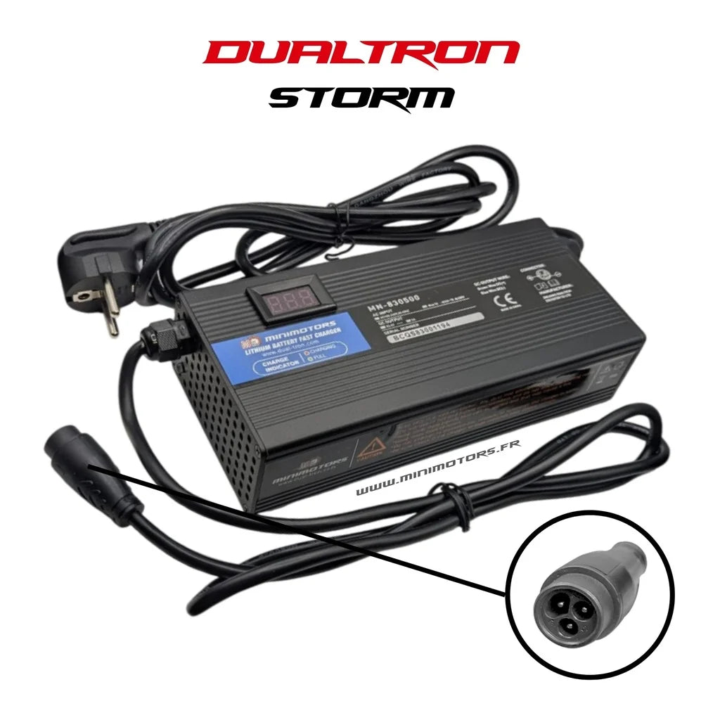 DUALTRON X LTD & STORM LTD | CHARGEUR RAPIDE 95.4V4A