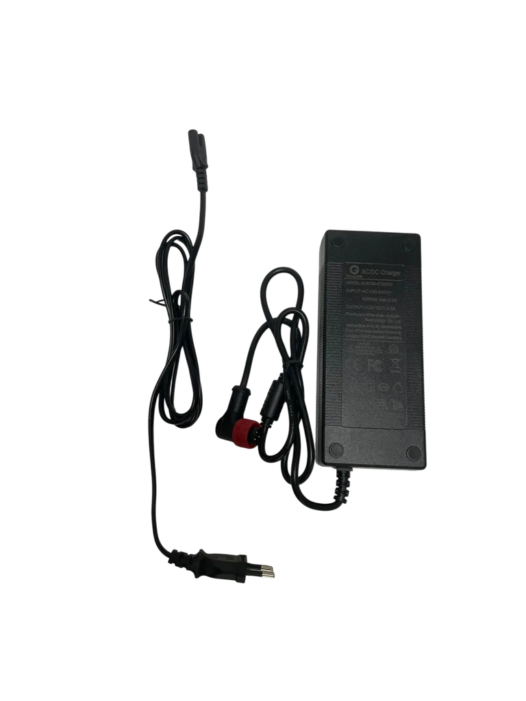 Chargeur 60V Vsett 10 Neuf