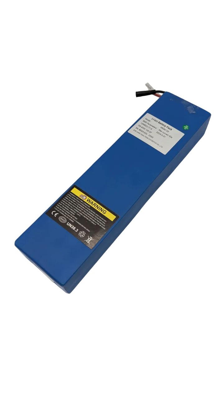 DUALTRON DOLPHIN | BATTERIE 36V12AH