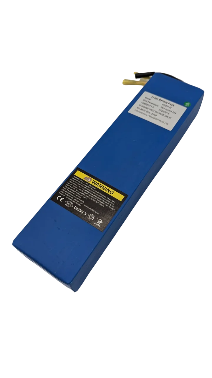 DUALTRON DOLPHIN | BATTERIE 36V15AH
