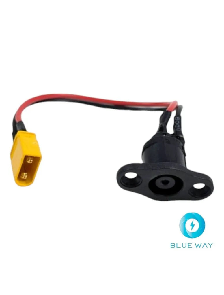 Port de charge Inmotion Climber
