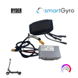 Contrôleur SmartGyro Ryder 1 + Kit d'affichage [Illimité]