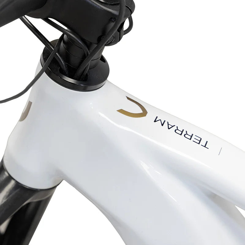 TERRAM vélo électrique VTT Gris/Blanc