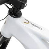 TERRAM vélo électrique VTT Gris/Blanc