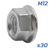 Écrous d’axe moteur Dualtron M12 – lot de 30 unités