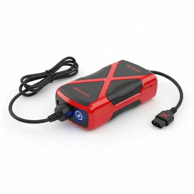 image-chargeur-rapide-gyroroue-ia-enterprise-rideback-be-accessoire-recharge-mobilite-electrique-haute-performance