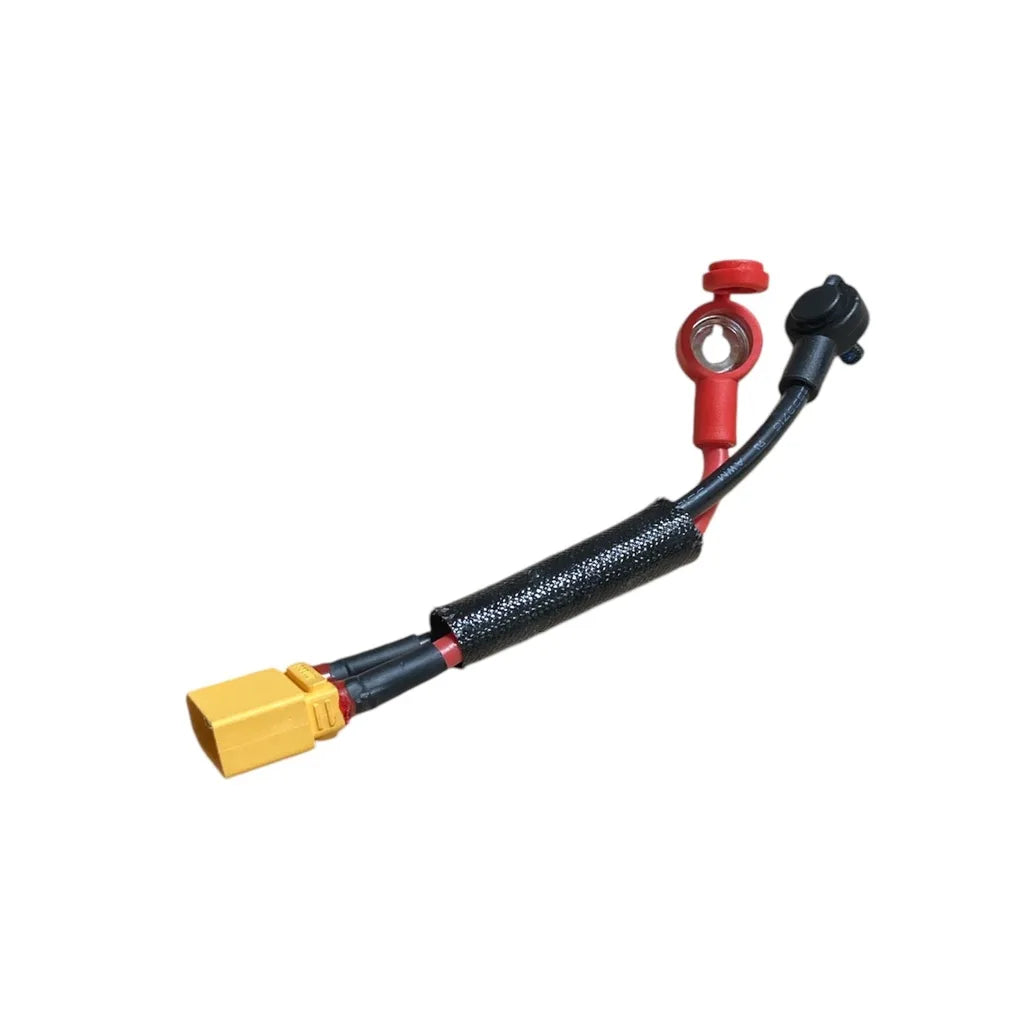 Câble convertisseur de batterie Court Inmotion RS