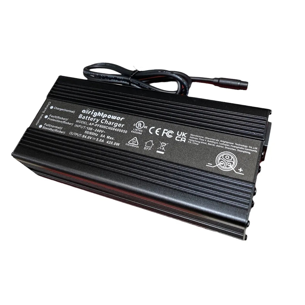 Chargeur pour Inmotion RS