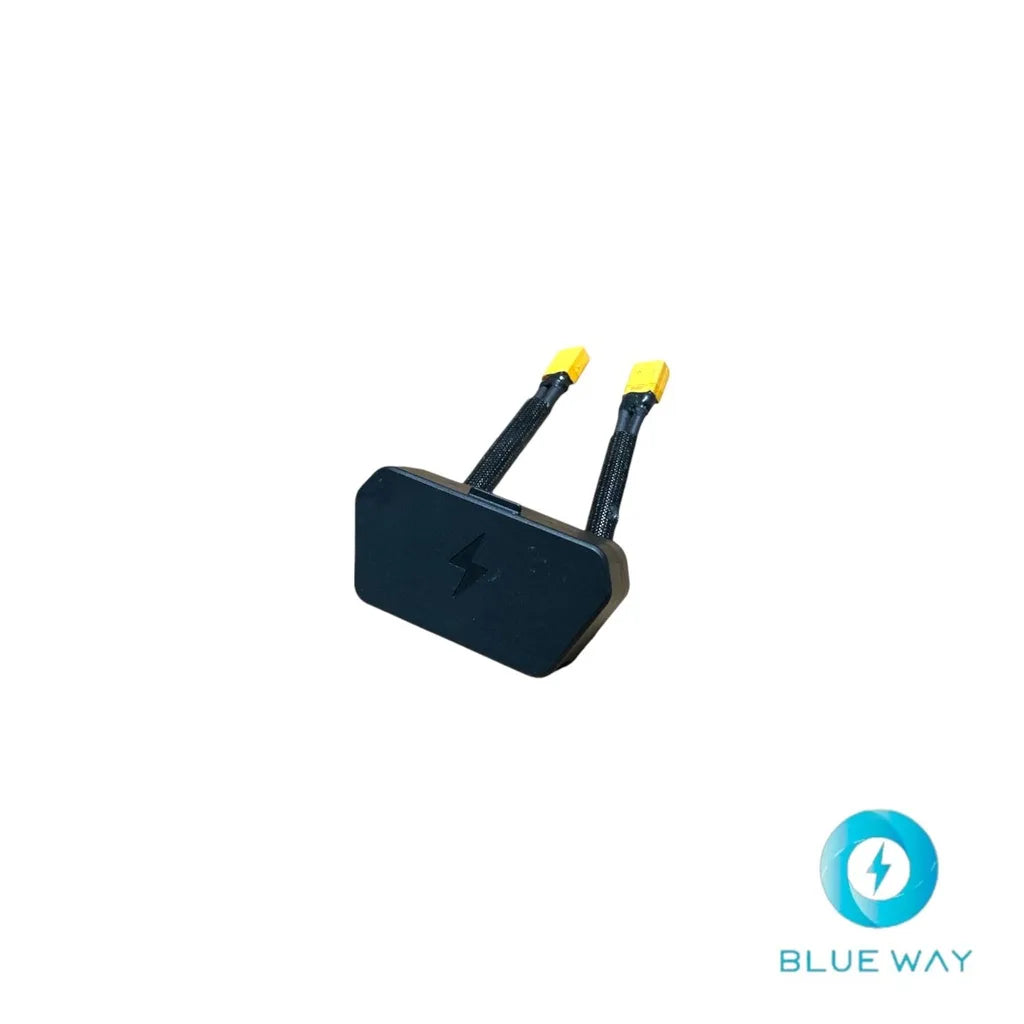 Port de charge Inmotion RS