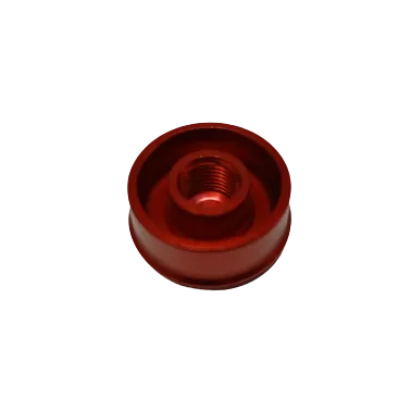 Bouchon de valve d'air Inmotion V11