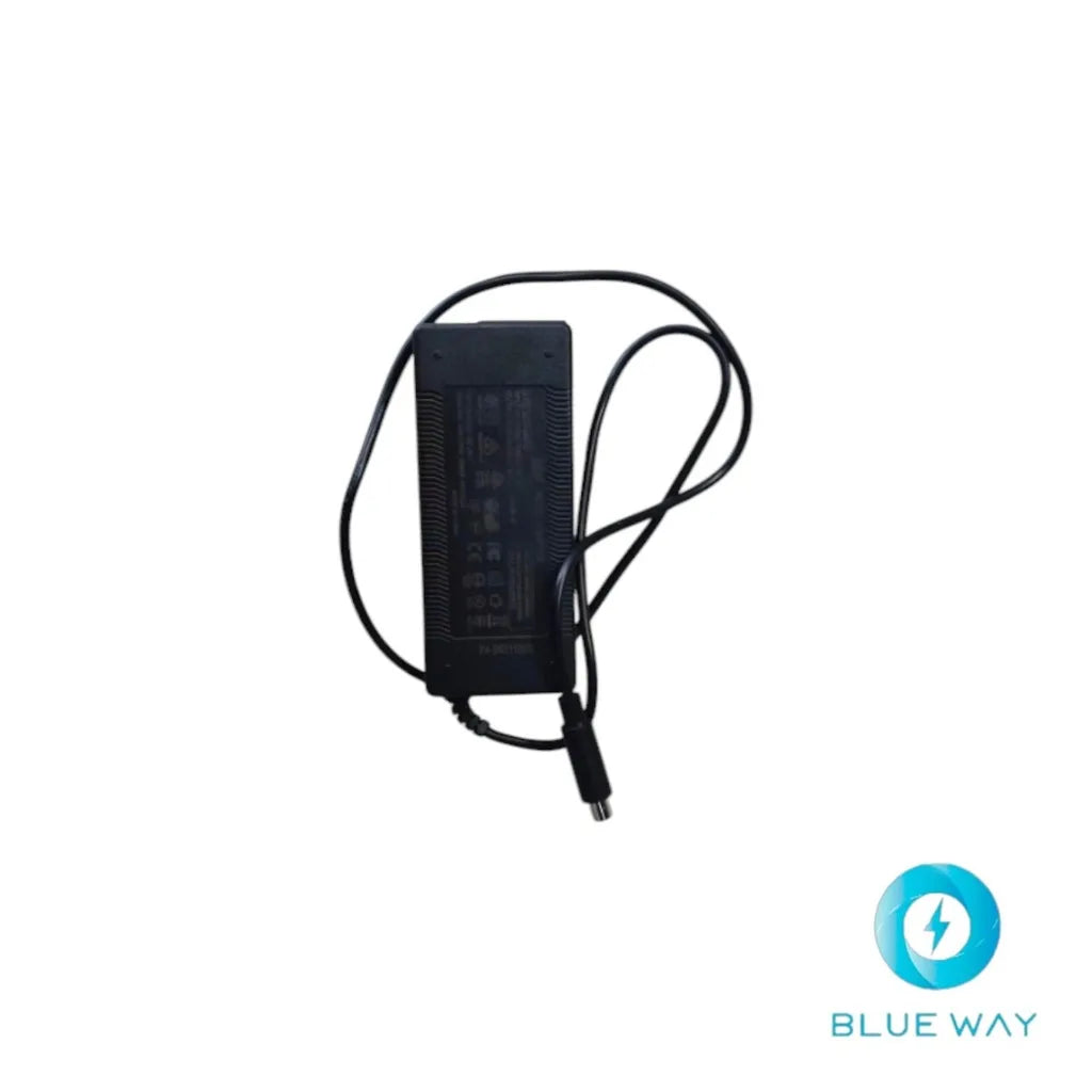 Chargeur pour Inmotion E20