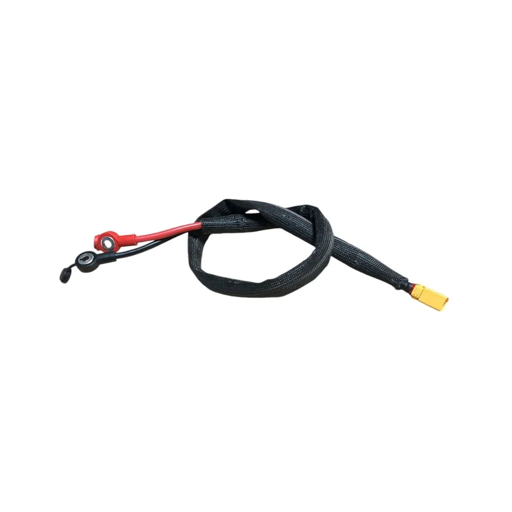 Câble convertisseur de batterie Long Inmotion RS