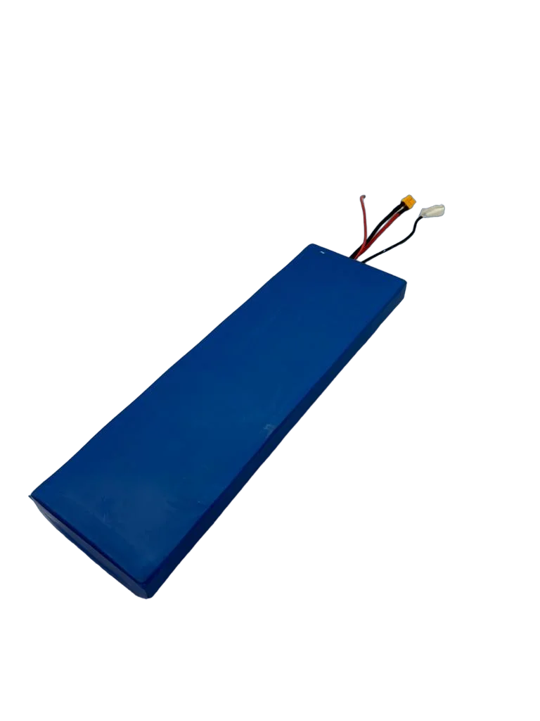 DUALTRON TOGO PLUS | BATTERIE 48V15AH