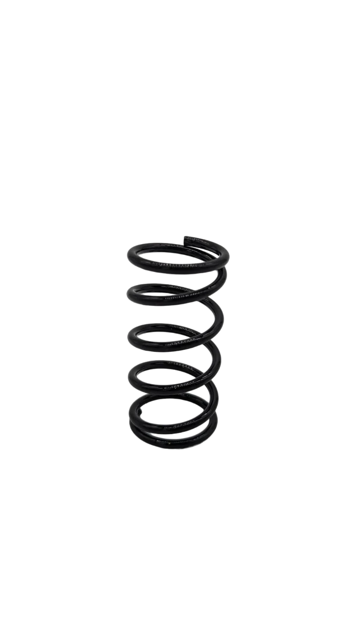 DUALTRON DOLPHIN | SUSPENSION AVANT