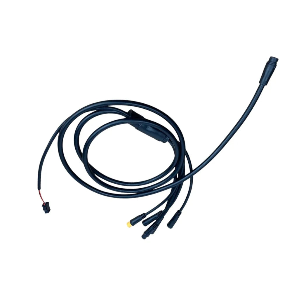 câble principal double moteur avec connecteur étanche